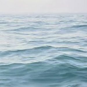 Meet your Posher, Viki